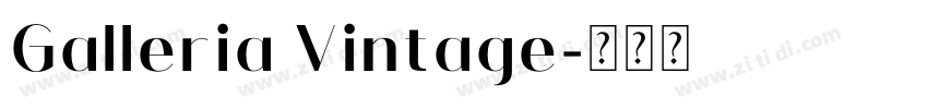 Galleria Vintage字体转换